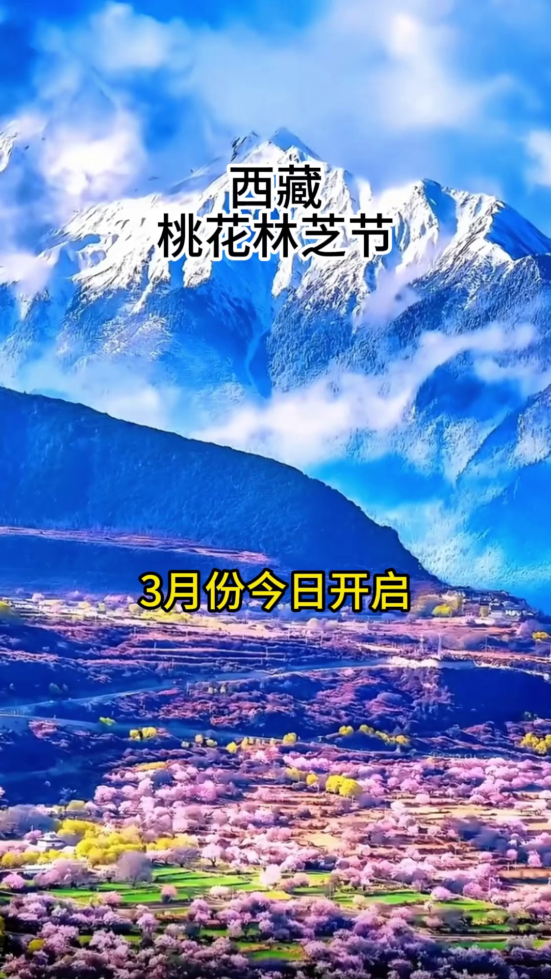 香港澳宝典大全