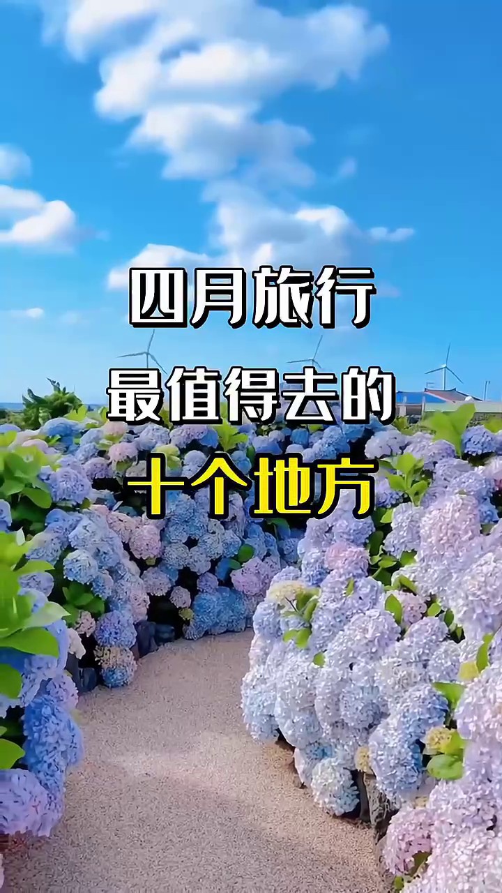 香港澳宝典大全