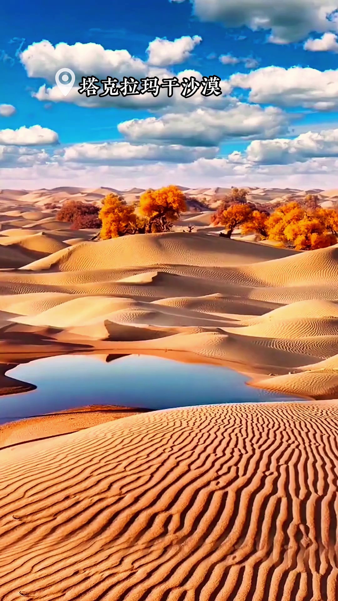 香港澳宝典大全