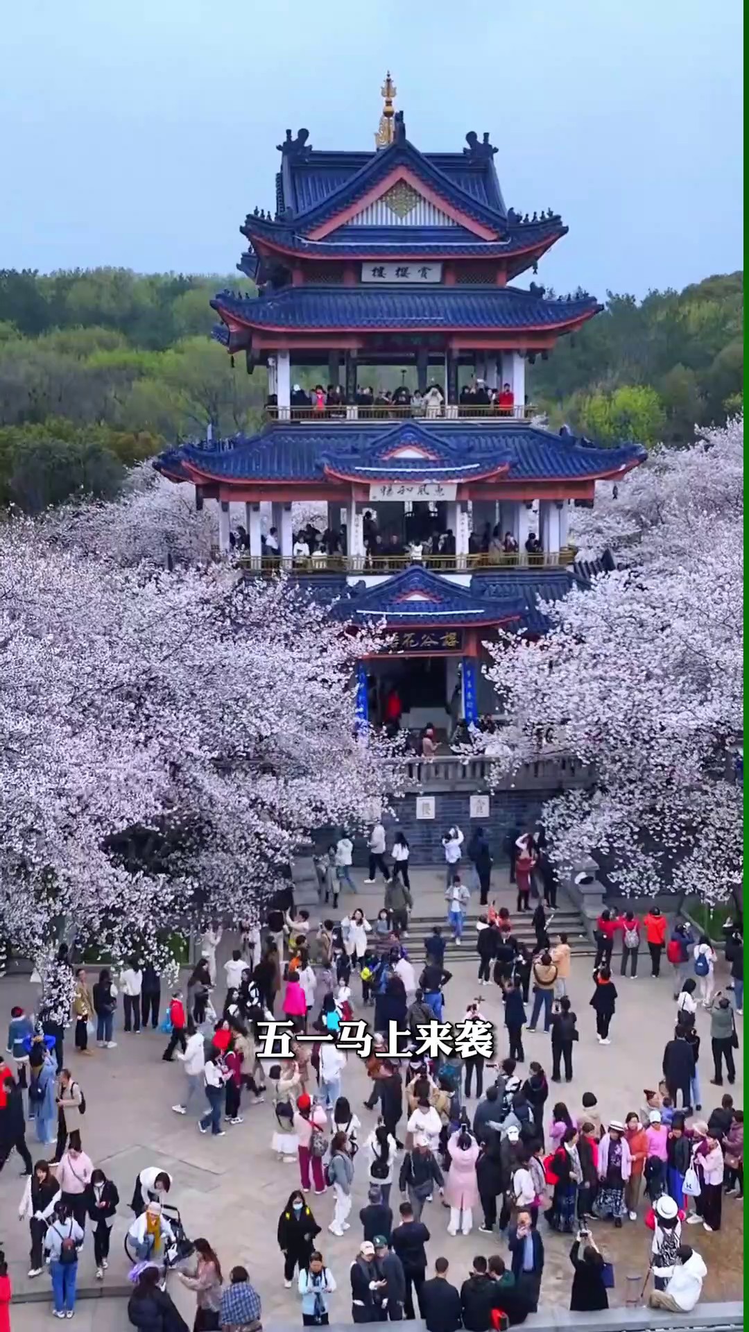 香港澳宝典大全