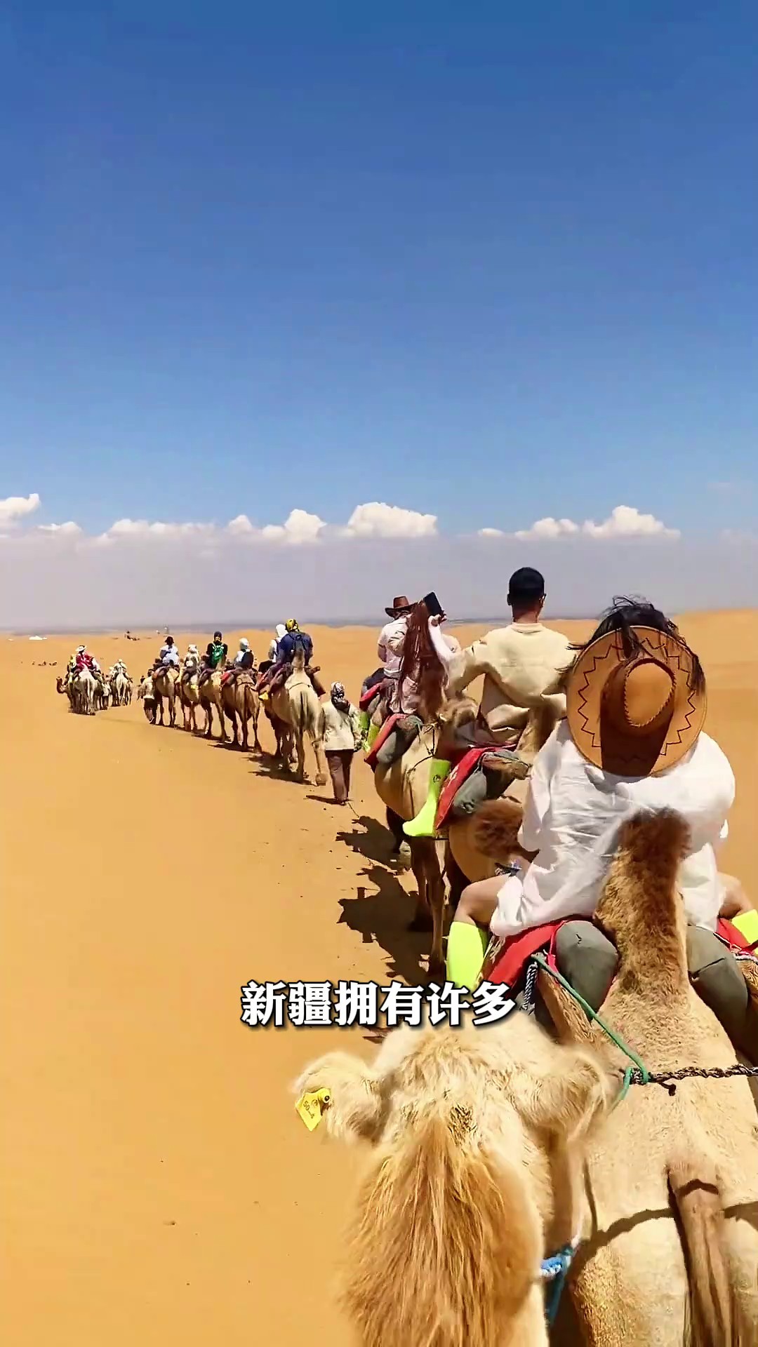 香港澳宝典大全