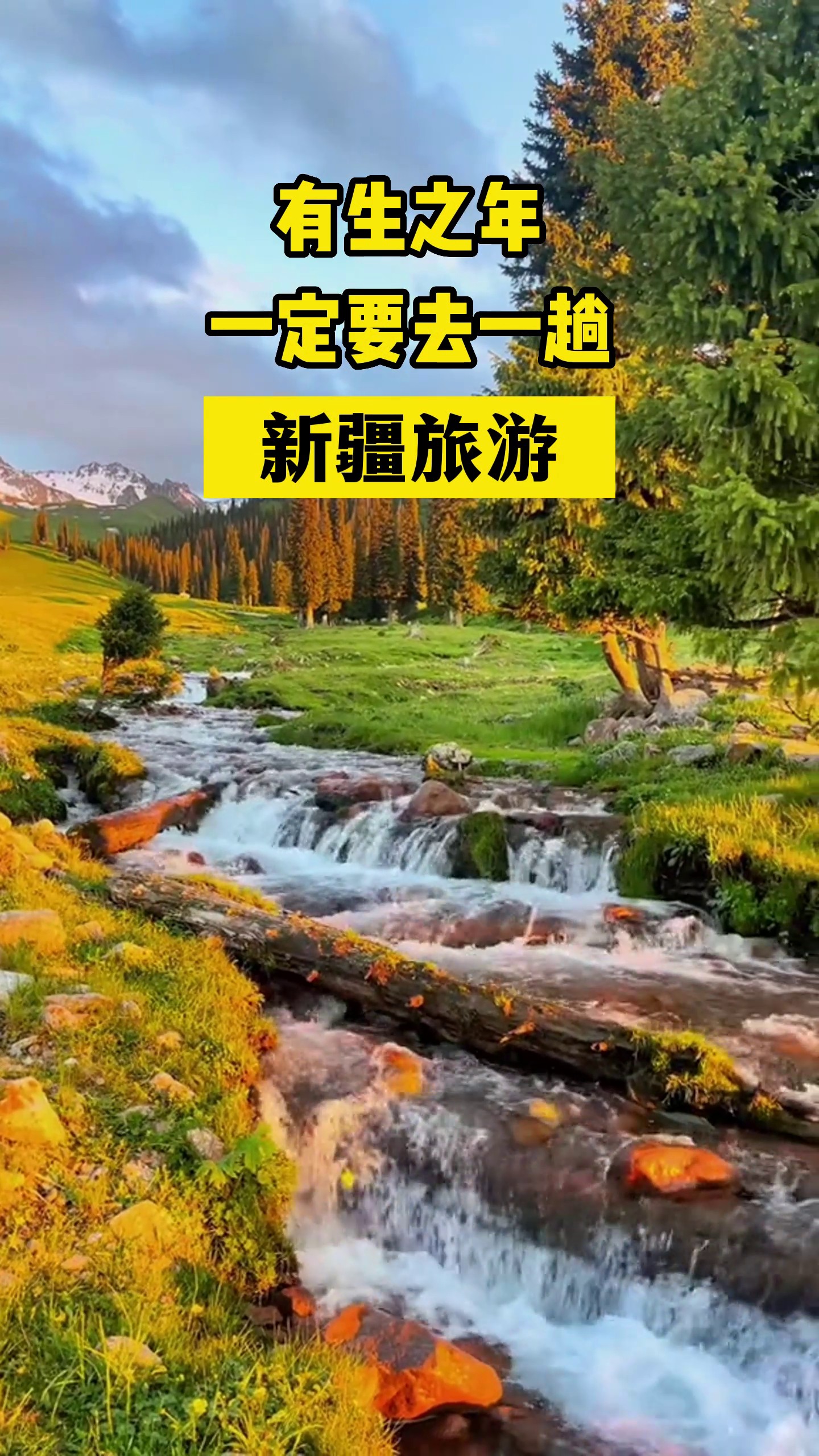 香港澳宝典大全