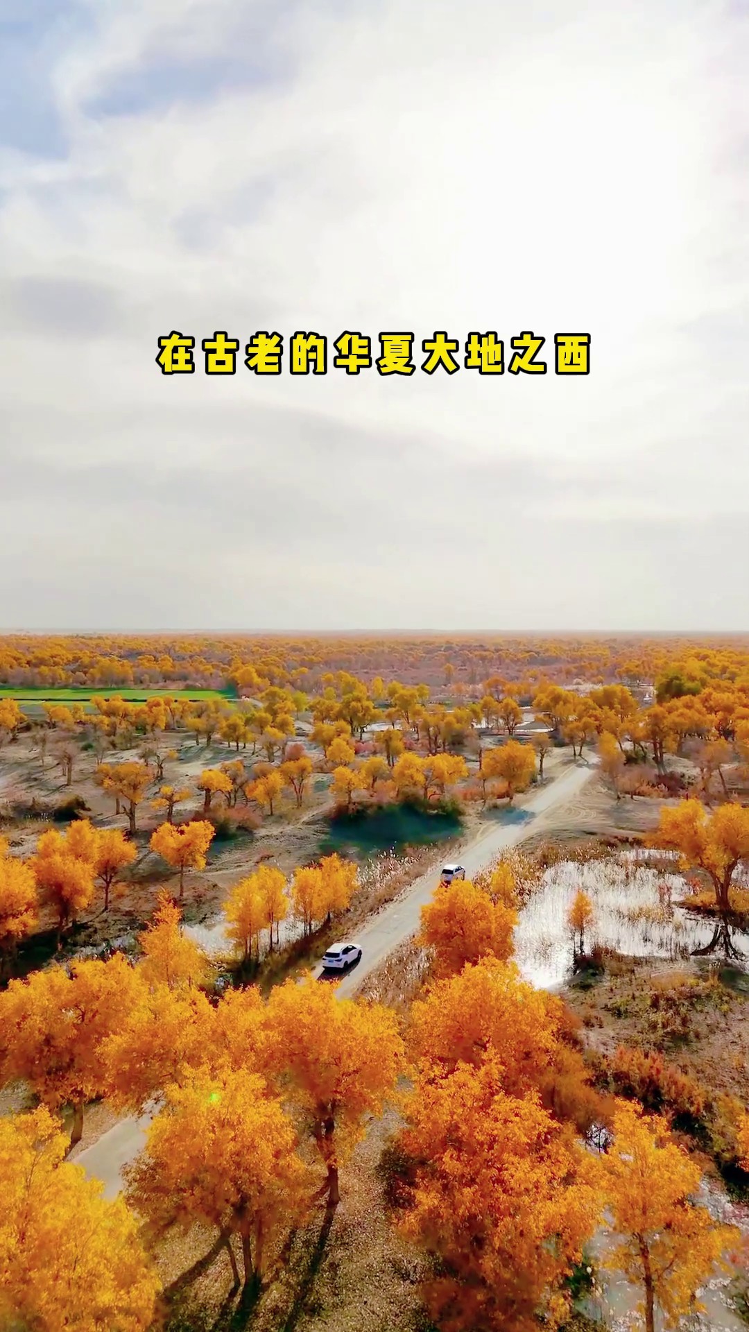 香港澳宝典大全