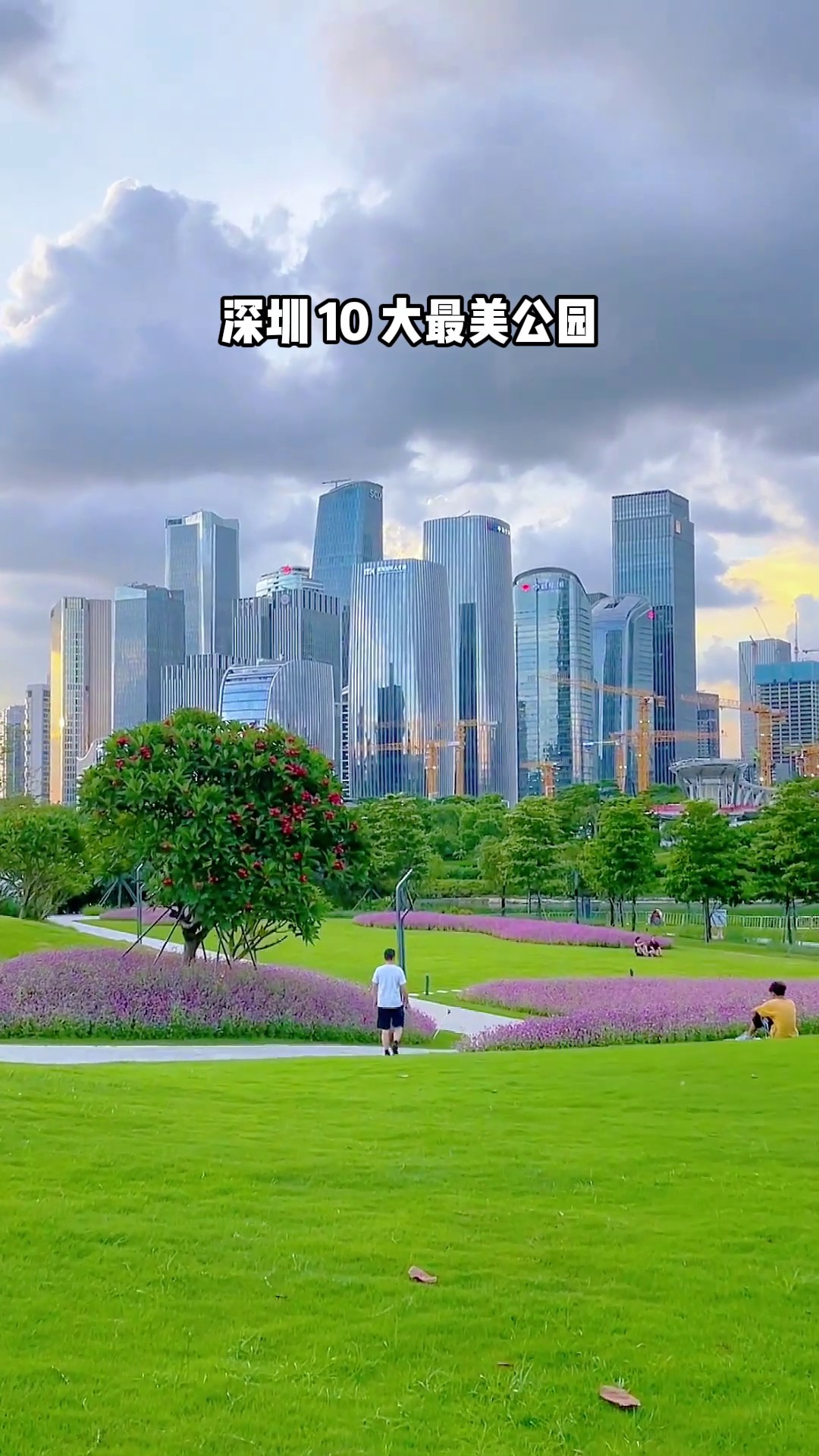 香港澳宝典大全