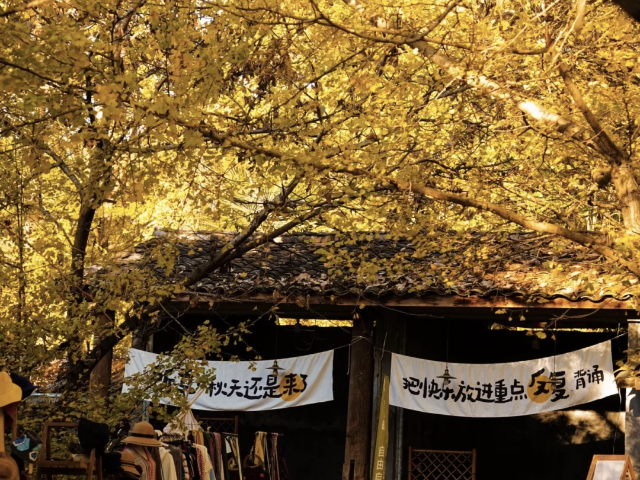 四川騰沖昆大騰騰沖驢友 深圳市港之旅旅行社供應(yīng);