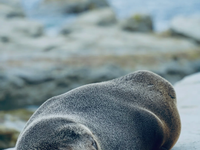 上海全球同行旅游韓國(guó)游韓國(guó)自由行 深圳市港之旅旅行社供應(yīng)
