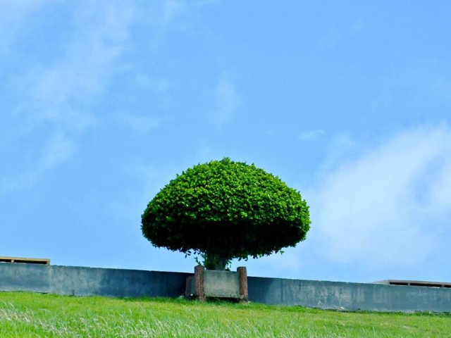 重慶連花山深圳一日游深圳二日游