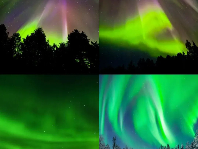 遼寧團(tuán)建游三亞旅行,三亞