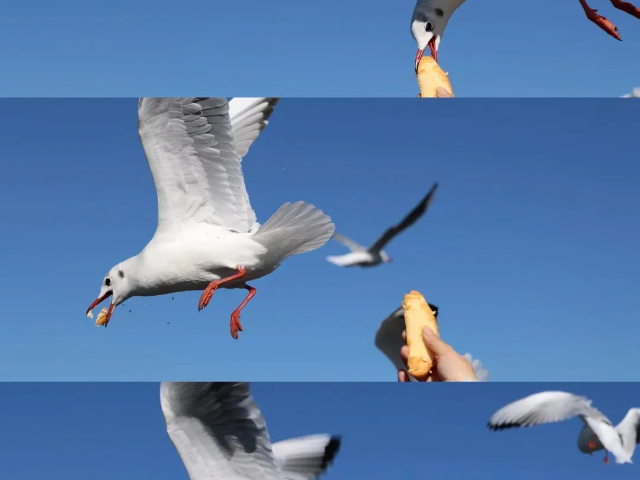 山東自由行三亞跟團(tuán)游,三亞