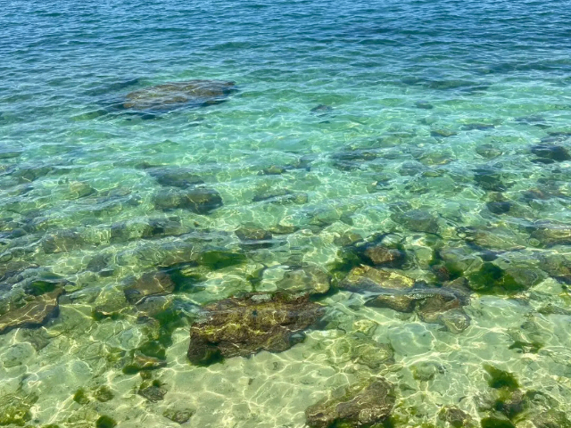 ?？谌齺喡糜稳齺喐鷪F游,三亞