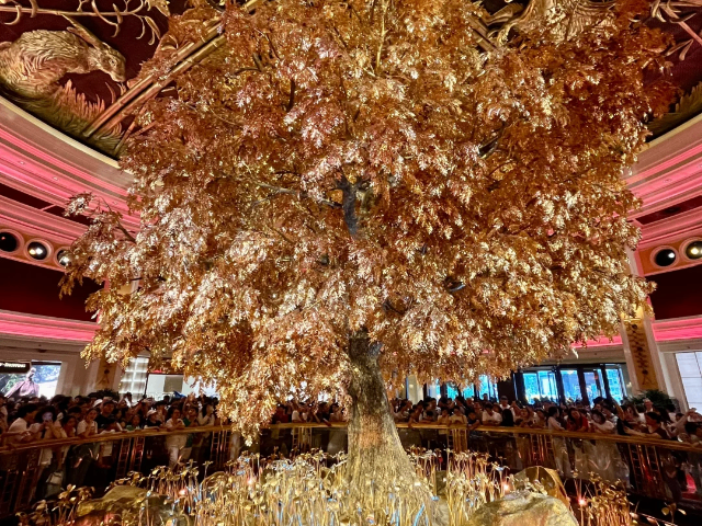 湖南過年游中國澳門/珠海一日游旅游