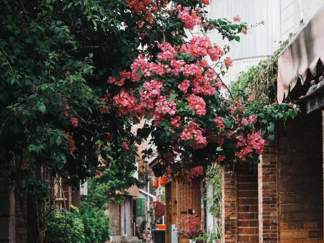 福建國內(nèi)游泉州旅游定制游 深圳市港之旅旅行社供應(yīng)