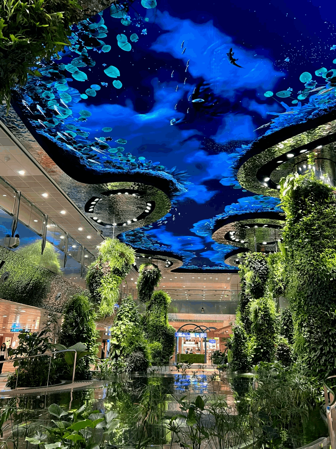 新马联游避坑全攻略！旅游达人亲测：5天4晚玩透两国，省钱又省心