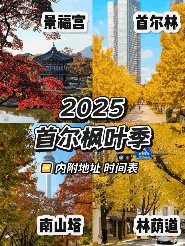 秋日赴韩封神之旅！5天4晚逛遍首尔