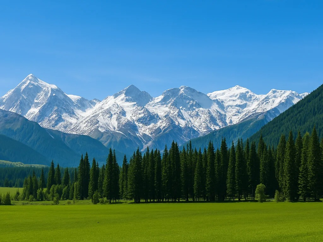 中國臺灣親子游新疆訂制游,新疆