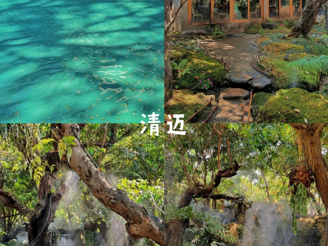 黑龍江跟團游泰國自由行