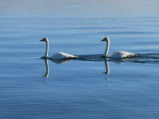 山西自由行新疆旅游 深圳市港之旅旅行社供應