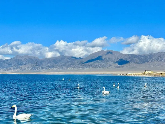 宁夏自由行新疆定制游,新疆