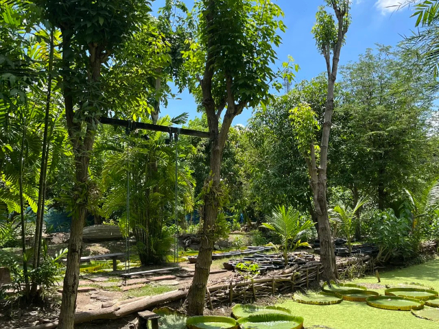 安徽自由行泰国定制游,泰国