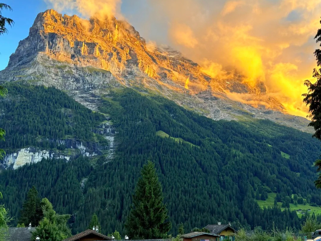 上海境外游歐洲游自駕游