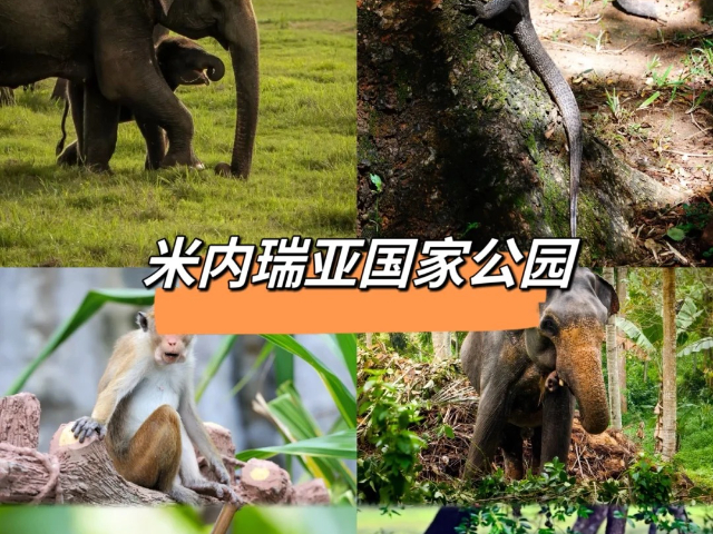 中国台湾境外游斯里兰卡自驾游,斯里兰卡