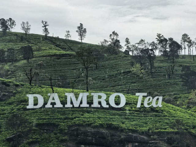 四川过年游斯里兰卡度假,斯里兰卡