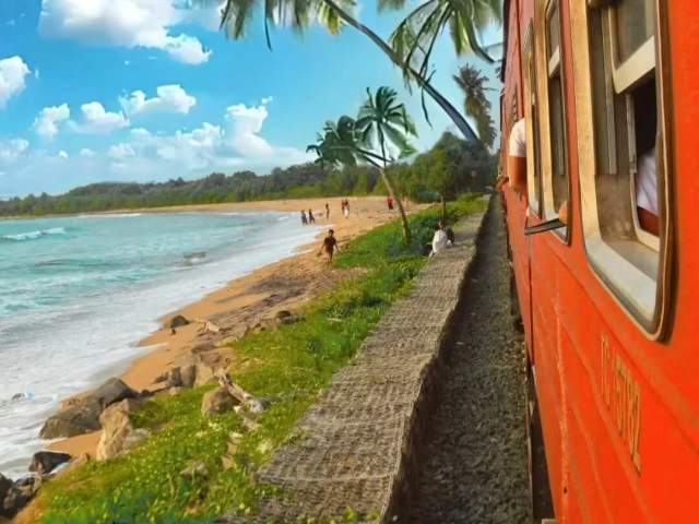 福建親子游斯里蘭卡過年游 深圳市港之旅旅行社供應(yīng)