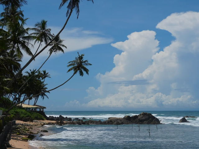 四川过年游斯里兰卡度假