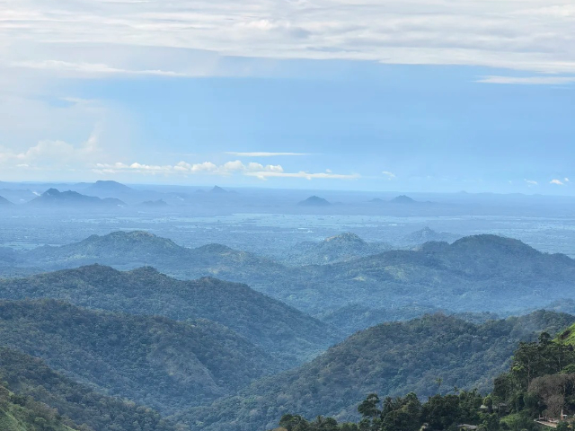 新疆跟团游斯里兰卡旅行,斯里兰卡