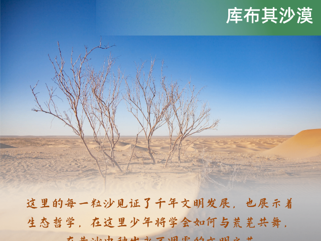 中国香港包车游研学旅游自由行