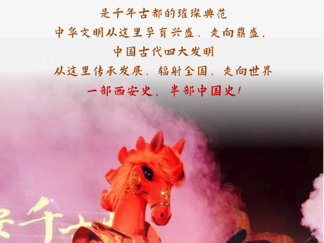 陕西境内游研学旅游定制游,研学旅游