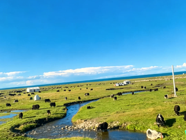 江西周边游青甘线旅游包车游,青甘线旅游
