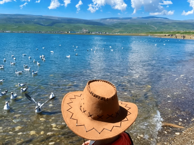 中国台湾避暑游青甘线旅游包车游,青甘线旅游