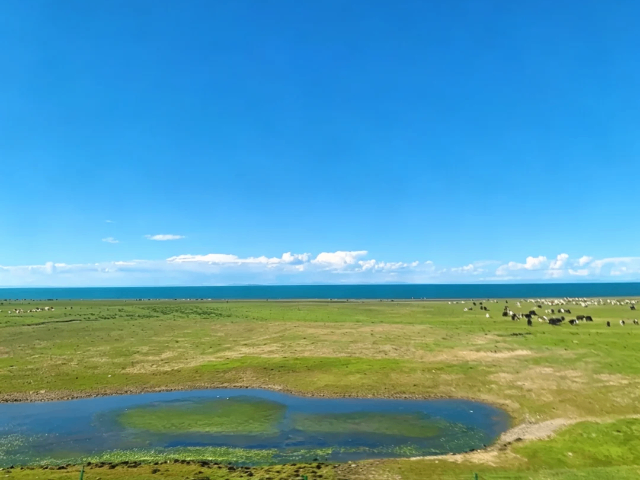 西藏境内游青甘线旅游跟团游,青甘线旅游