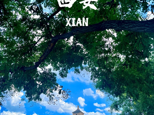 福建跟团游西安旅游旅行,西安旅游