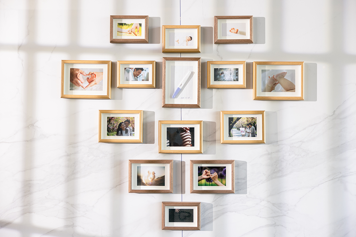 熱烈祝賀深圳市康乃格生物技術有限公司網站修訂上線!