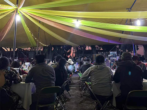 茄果農場采用生態種植方式獲得好評