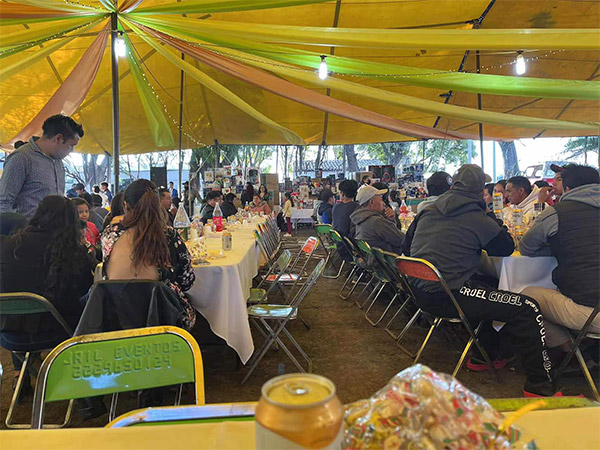 蔬菜農場引進新技術提品質