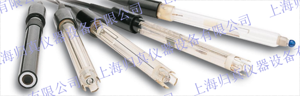 AC3030/225 用於生物技術(shù)應(yīng)用的pH-電極 技術(shù)數(shù)據(jù) 簡短的描述 AC3030是一種z先進(jìn)的，凝膠填充，低維護(hù)的pH電極，專門開發(fā)用於在 生物過程