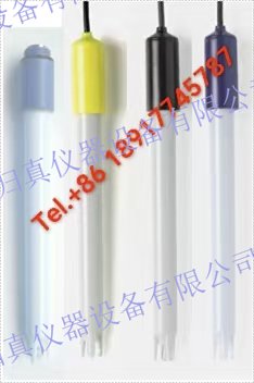 ACITEK歸真儀器pH複合電極ACLE438 ACLE電極-價(jià)位適中且性能可靠. 配有內(nèi)置溫度電極的三合一塑膠pH電極適合在野外使用。