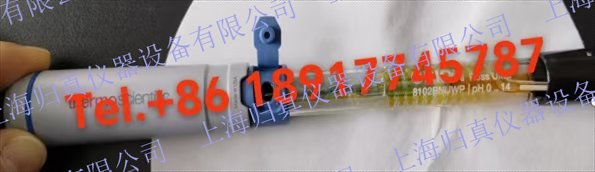 Thermo熱電Orion? 奧立龍8102BNUWP ROSS Ultra? pH 電極