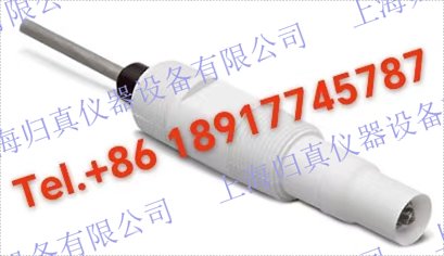 EMERSON艾默生Rosemount羅斯蒙特? 396PVP pH/ORP感測(cè)器396PVP-10-55 產(chǎn)品描述:羅斯蒙特 396PVP pH 感測(cè)器