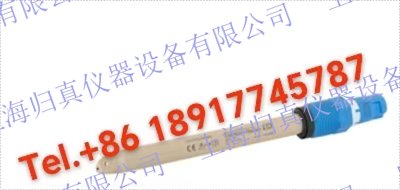 E+H恩德斯豪斯Endress+Hauser非玻璃數(shù)字式pH電極Memosens CPS97E-AA8BHH2 Memosens 2.0 ISFET數(shù)字式ｐH