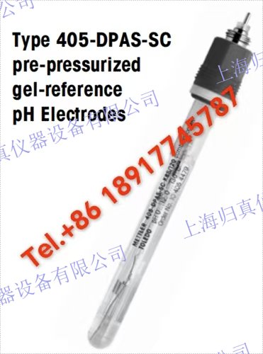 Mettler Toledo梅特勒托利多 原裝進口 現(xiàn)貨供應(yīng)pH感測器405-DPAS-SC-K8S/120 高性能pH測量.405-DPAS-SC-K8S-1