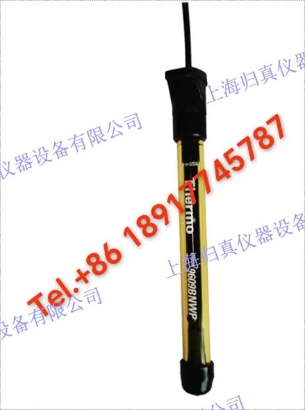 Thermo熱電 奧立龍Orion 氟化物電極9609BNWP