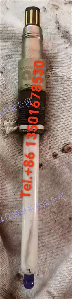 哈美頓智能RS485電極Hamilton 哈美頓 波利特加 H 弧 120：Polilyte Plus H Arc 120（242428-1313）
