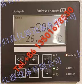 E+H恩德斯豪斯 Endress+Hauser pH/ORP變送器 Liquisys CPM223:CPM223-PR0005 