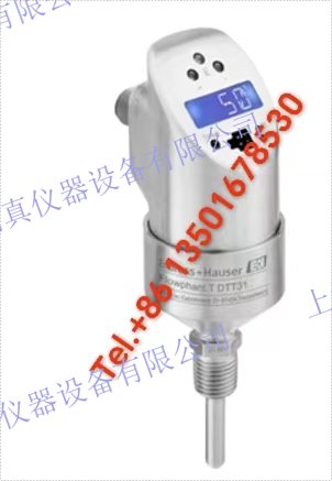 E+H恩德斯豪斯 Endress+Hauser Flowphant T DTT31 流量開關(guān)DTT31-A1C111AE2CAB 安全監(jiān)測(cè)工業(yè)過程中的流量和溫度