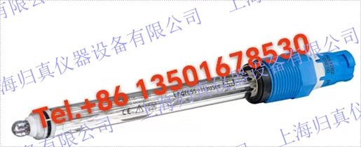 E+H 恩德斯豪斯 Endress+Hauser 數字式pH電極 Memosens CPS31E