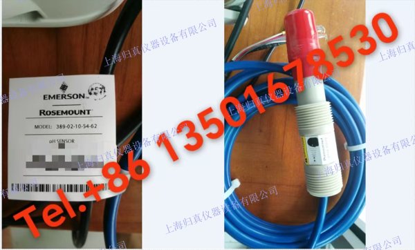 EMERSON艾默生 Rosemount?羅斯蒙特 389 通用 pH感測器:389-02-10-54-62